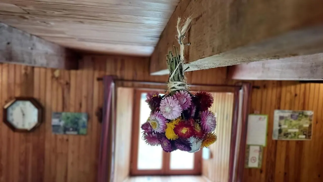 Casa vacanze Refuge La-Hournere Campan Villa Francia